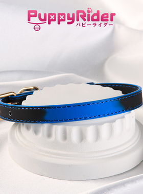 PUPPYRIDER温感变色项圈m原宿风