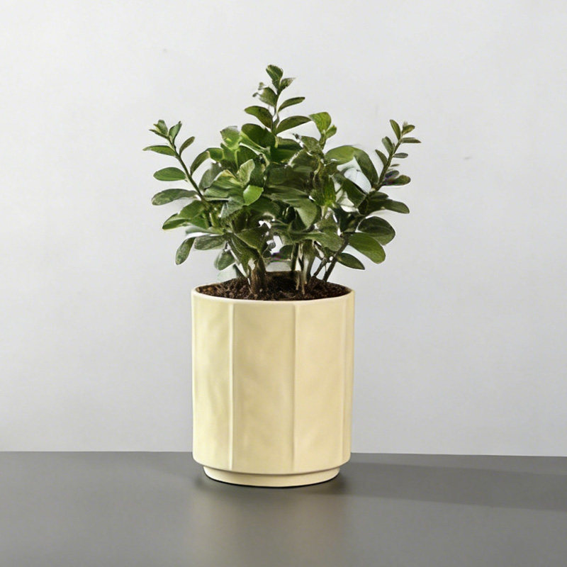 现代简约白色竖纹陶瓷花盆仿真绿植套装客厅桌面装饰摆件,淘宝优惠券,粉丝福利购,淘宝优惠卷