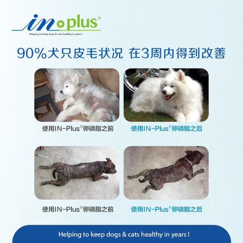 麦德氏狗狗卵磷脂300g护毛软磷脂泰迪金毛狗用防掉毛毛发浓密亮丽 - 图1