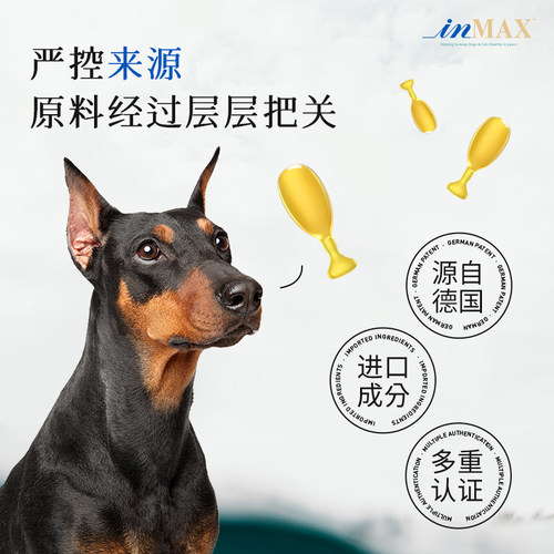 【天猫U先】麦德氏犬用小金标鱼油4粒，回购正装试吃全额退-图0