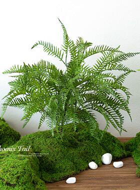 田园风仿真花假花凤尾草蕨类绿植