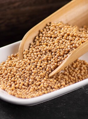 藏式火供用白芥子中药材野生白芥子粉芥菜子白芥子辣菜子500g1斤