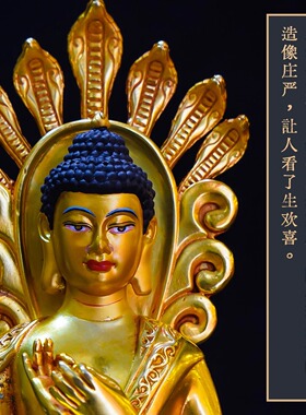 藏式纯铜龙树菩萨佛像家用供奉龙尊王佛摆件精品仿古鎏金精品铜像