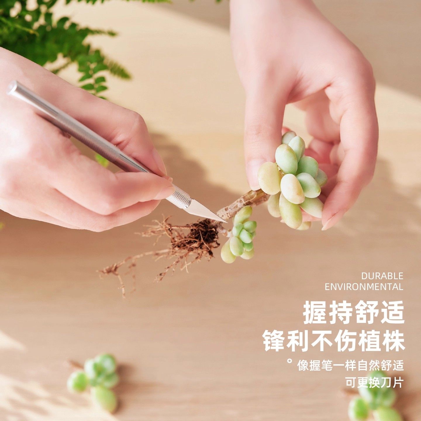 多肉工具套装专用植物园艺盆栽修根嫁接刀多肉砍头新手种植铲土杯,淘宝优惠券,粉丝福利购,淘宝优惠卷