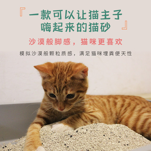深度除味猫砂天然矿石小颗粒 几乎无尘 进口平替 - 图0