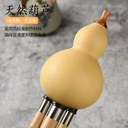 Выпускник Nanzhu Junior Golden Bamboo Seven -Hole -Hole -Hole Adult Professional Profession