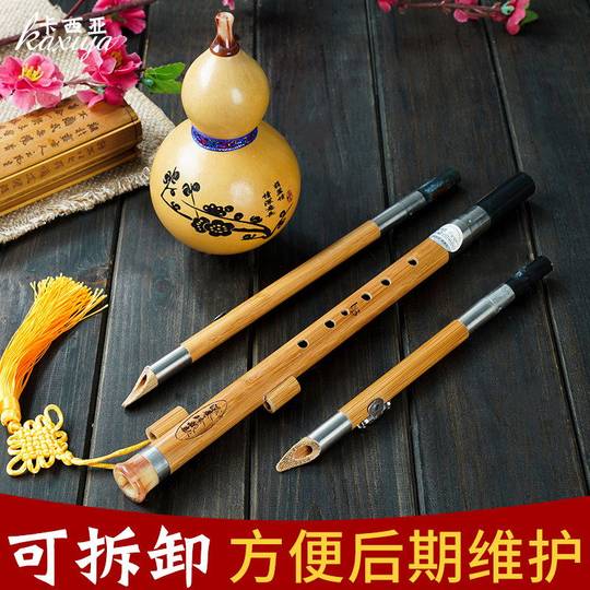 Кассия тыквы профессионального качества с семью и восемью лунками