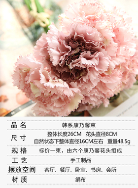 康乃馨塑料室内客厅摆件假花