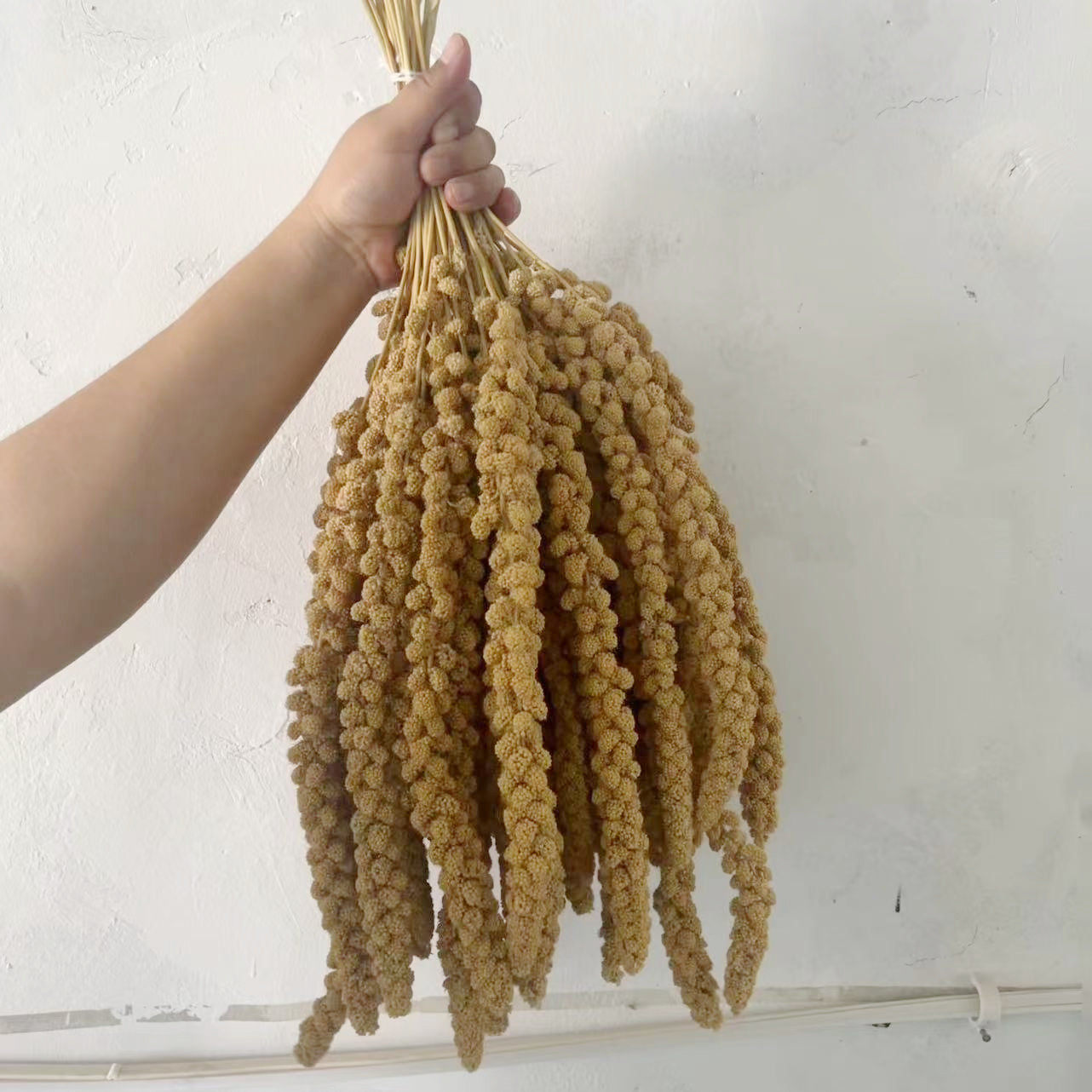 2025谷穗黄小米穗鹦鹉小鸟零食仓鼠玄风牡丹虎皮仓鼠金丝雀断奶,淘宝优惠券,粉丝福利购,淘宝优惠卷