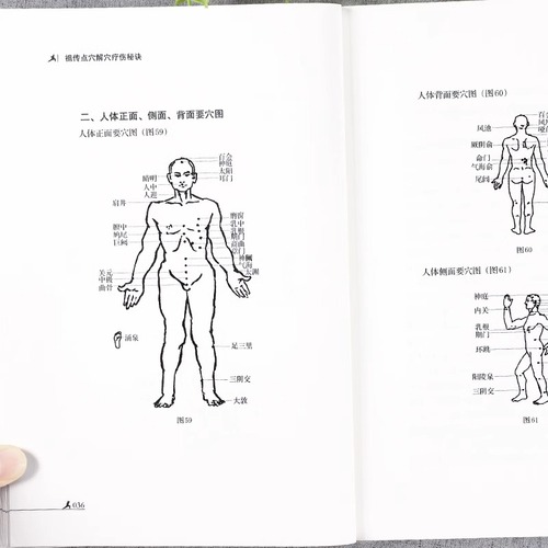 祖传点穴解穴疗伤秘诀老中医点穴奇术绝版武功治病点穴解穴神技易学专治杂症奇效书籍中医养生经验疗法陈郎中著医学穴位经络详解书