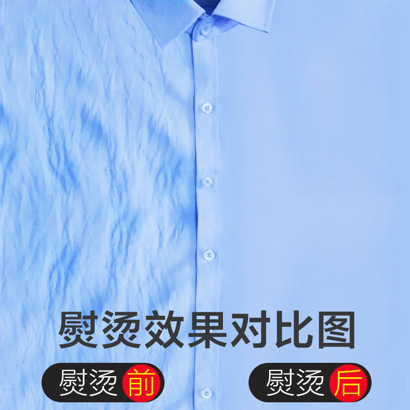 荣事达蒸汽家用小型手持挂烫机 royalstar荣事达东荣专卖挂烫机