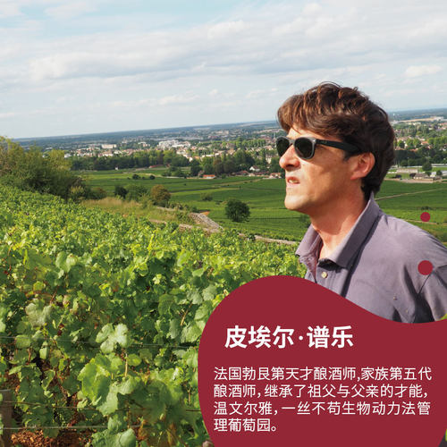 大师汇法国原瓶进口勃艮第艾伯谱乐黑山羊黑皮诺珍藏限量红葡萄酒 - 图2