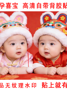 助孕喜宝求子图龙凤胎墙贴海报