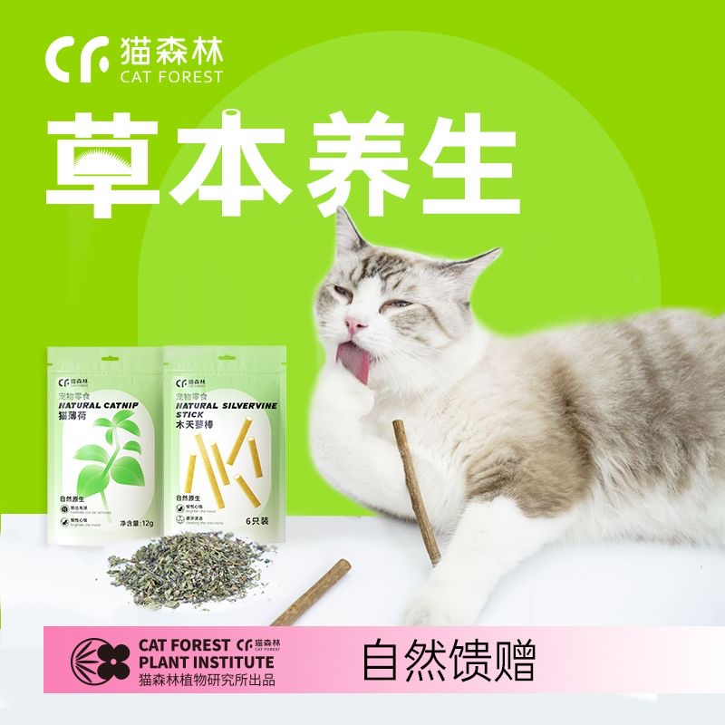 猫咪磨牙棒木天蓼猫薄荷福丸玲珑球猫咪零食成猫幼猫猫玩具防口臭