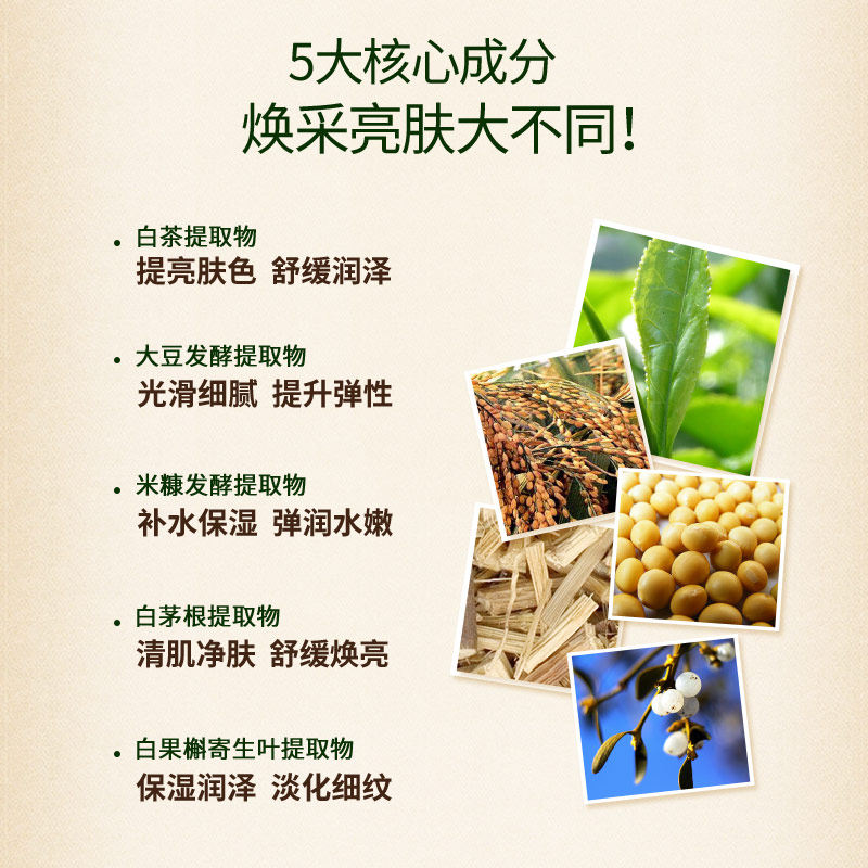 膜法世家白茶免洗睡眠亮肤白皙泥膜 膜法世家悦肌涂抹面膜