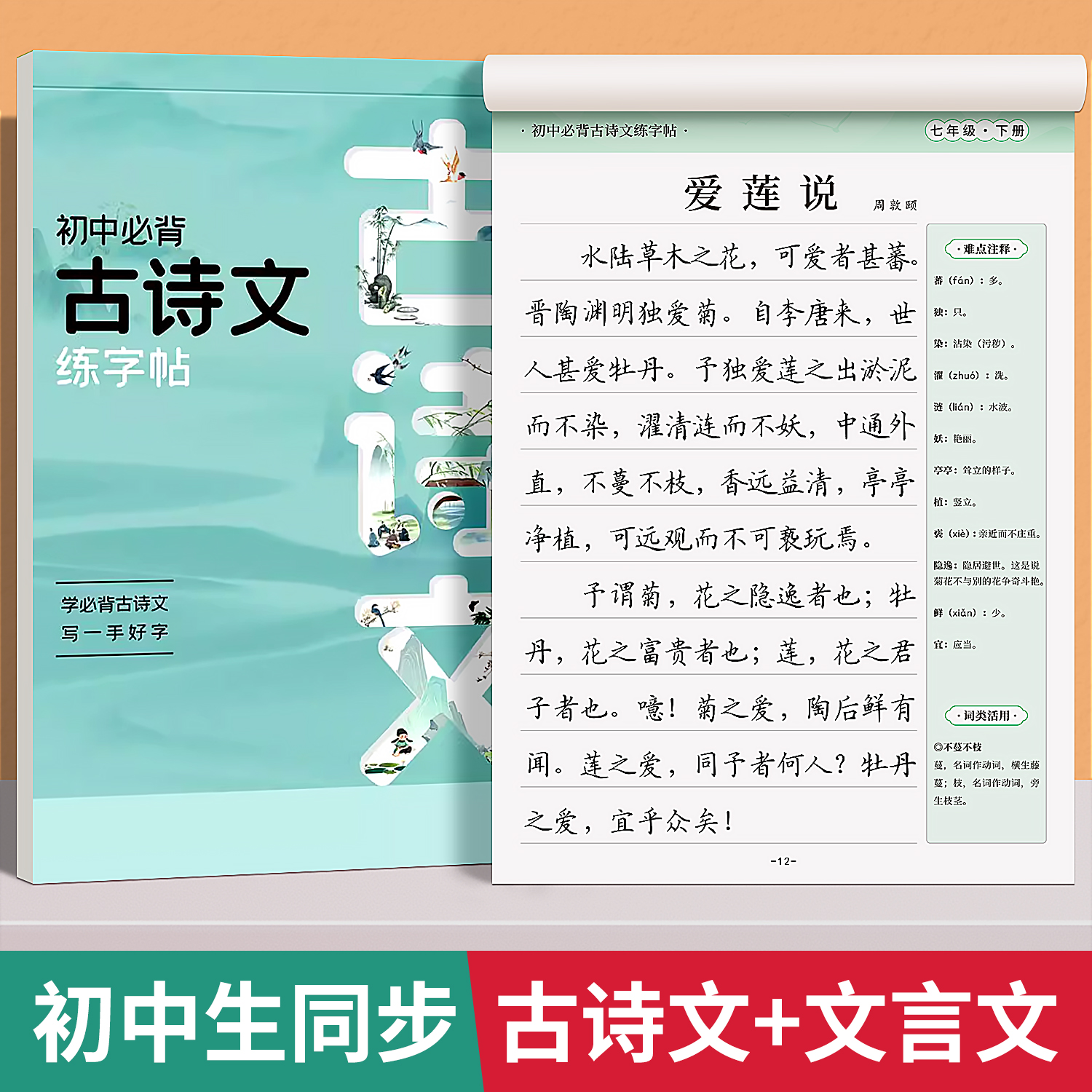 初中生专用练字帖古诗词字帖中学生语文必备古诗文七年级八年级文言文正楷钢笔基础训练初一每日一练硬笔书法楷书控笔训练临摹楷书-图0