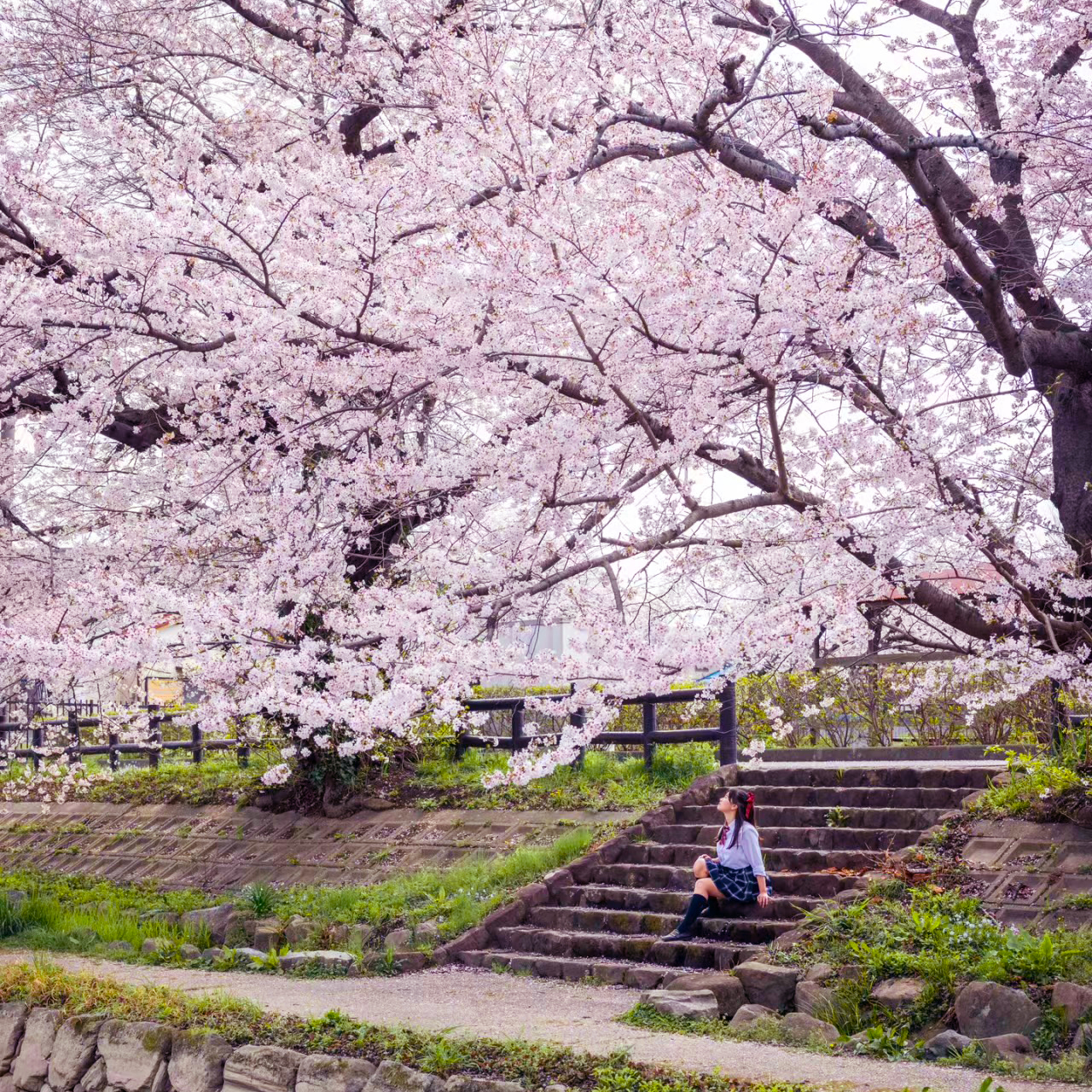 日本旅游九州赏樱福冈熊本阿苏由布院别府6天5晚小团日本跟团游-图0