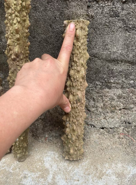 深山降龙木原木野生天然把玩收藏木料老料家居镇宅玄关装饰摆件