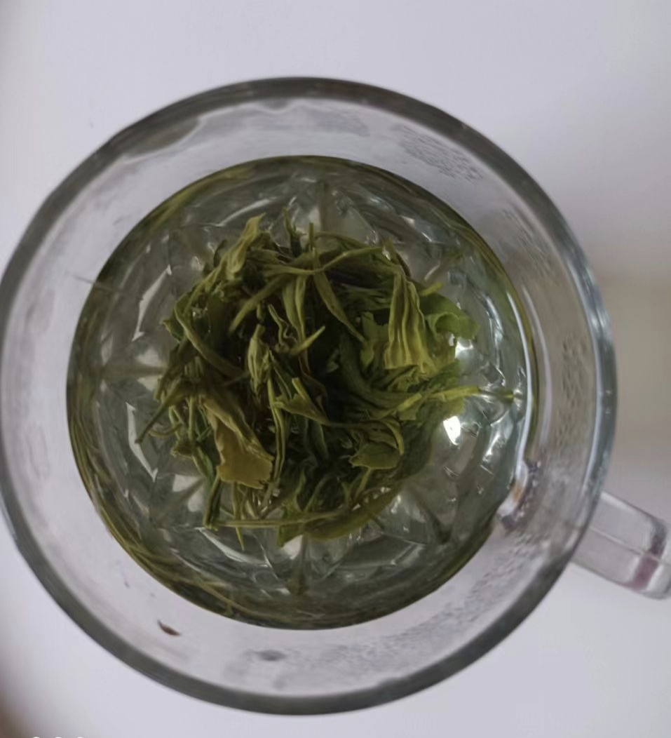 2024年新茶桂东玲珑茶明前茶高山绿茶头春茶郴州特产250g桂东绿茶