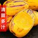 Ginseng fruit fresh fruit Gansu Minqin Desert extra large life fruit yellow flesh low sugar large fruit for pregnant women seasonal whole box