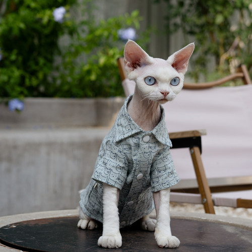任发财可爱猫头衬衫无毛猫衣服德文衣服斯芬克斯猫纯棉透气 - 图2