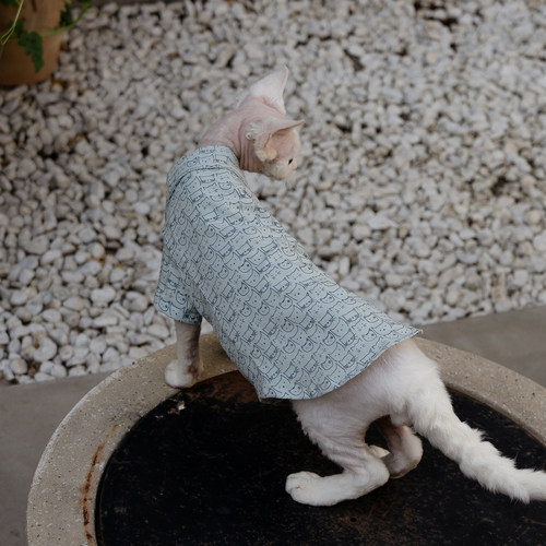 任发财可爱猫头衬衫无毛猫衣服德文衣服斯芬克斯猫纯棉透气 - 图0