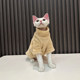 German Hairless Cat Autumn and Winter Thickened Mink Velvet Basement