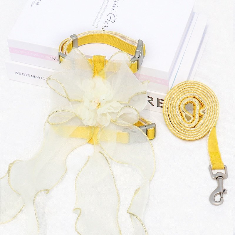 猫咪牵引绳防挣脱遛猫绳可伸缩可爱猫背带狗绳猫咪宠物胸背,淘宝优惠券,粉丝福利购,淘宝优惠卷