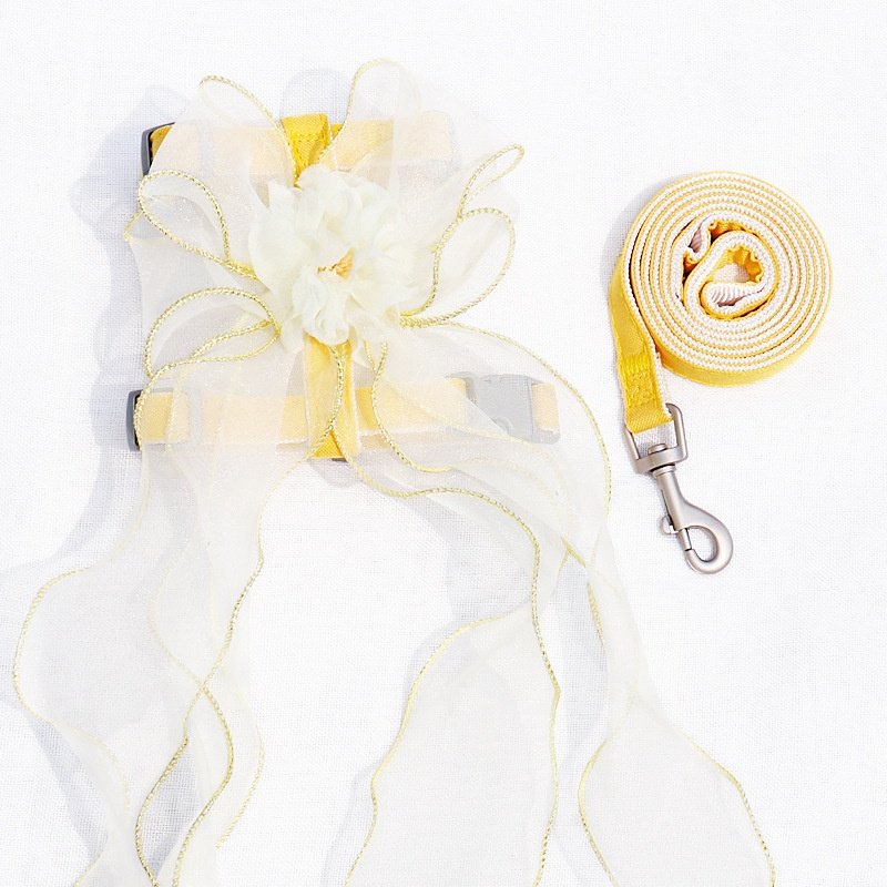 猫咪牵引绳防挣脱遛猫绳可伸缩可爱猫背带狗绳猫咪宠物胸背,淘宝优惠券,粉丝福利购,淘宝优惠卷