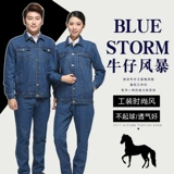 Джинсовый осенний искусственный комбинезон