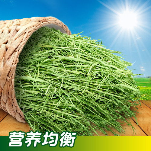 加拿大晒干提摩西草干草侏儒兔子荷兰猪龙猫兔粮兔饲料苜蓿草磨牙 - 图2