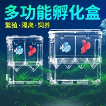 Peacock fish breeding box fish tank acrylic isolation box Special large number of spawning hatching production house small fish fry young fish