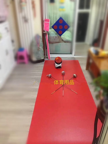击剑器材家庭居家击剑剑道训练靶击剑橡胶训练剑道可卷携带方便 - 图1
