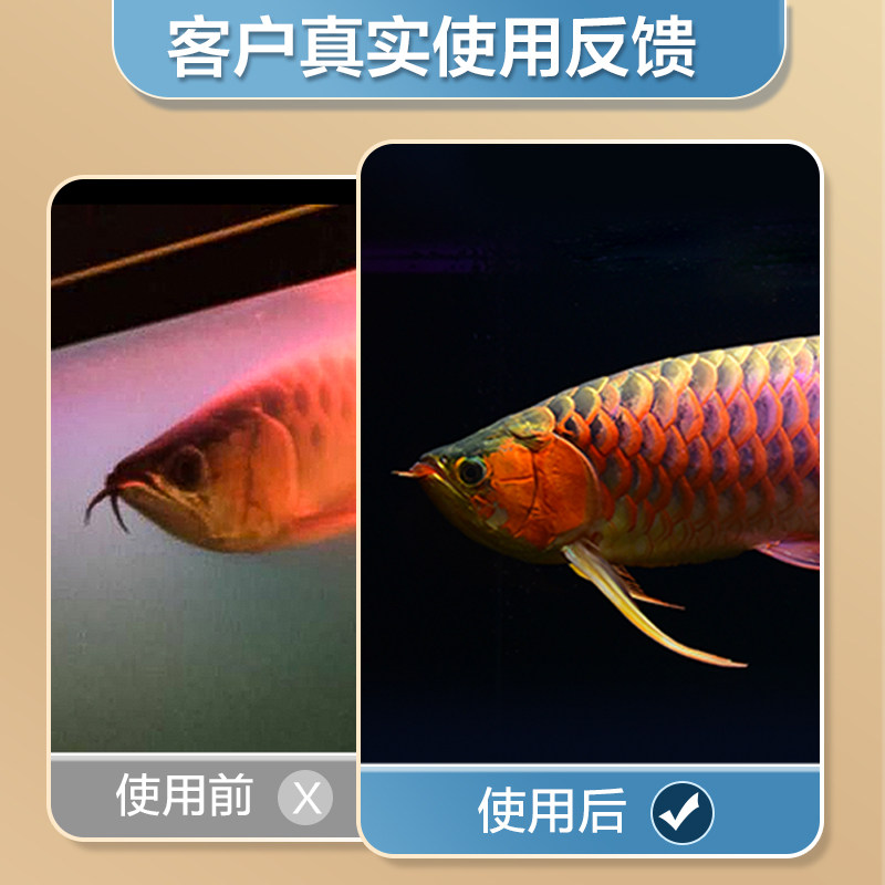 小颗粒滤材鱼缸底过滤器硝化细菌屋陶瓷环过滤石英球净水过滤材料,淘宝优惠券,粉丝福利购,淘宝优惠卷