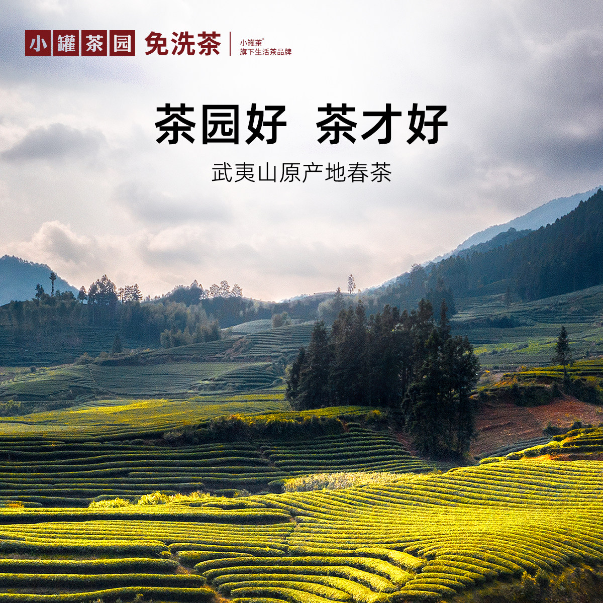 【直播间抽免单】小罐茶园流金系列特级大红袍茶叶40g,淘宝优惠券,粉丝福利购,淘宝优惠卷