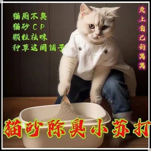 小苏打大粒猫砂除臭颗粒祛味除湿猫砂伴侣剂宠物猫咪去尿味神器 - 图0
