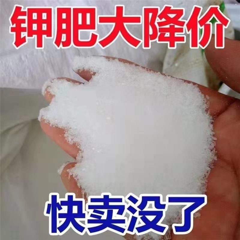 磷酸二氢钾肥料花卉专用正品叶面肥农用官方旗舰店花用花肥磷钾肥-图2