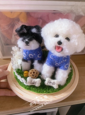 羊毛毡戳戳纯手工微景观