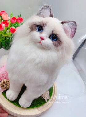 羊毛毡纯手工来图定制宠物猫全身玻璃罩摆件创意生活微景观纪念