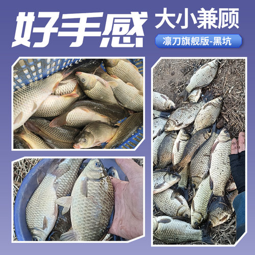 伽玛精工凛刀鱼竿手竿黑坑专业台钓竿鲫鱼鲤鱼竿超轻超硬罗非手杆 - 图2