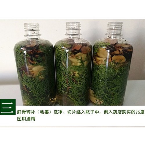 白发野生新鲜侧柏叶老姜骨碎补毛姜红花泡酒密护斑秃脂溢性发精水 - 图2