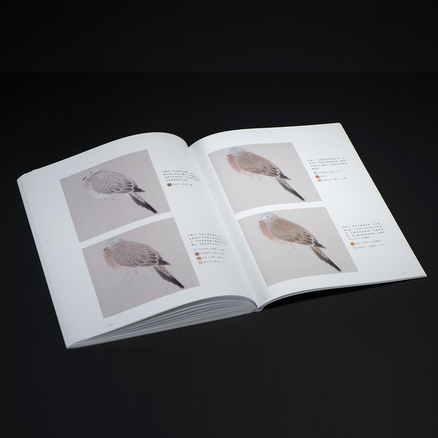 观物之生 : 中国画工笔禽鸟写生技法 宋代工笔禽鸟画绘画技法入门教程工具材料基本设色技法详解 20只常见鸟类写生创作示范画画书,淘宝优惠券,粉丝福利购,淘宝优惠卷