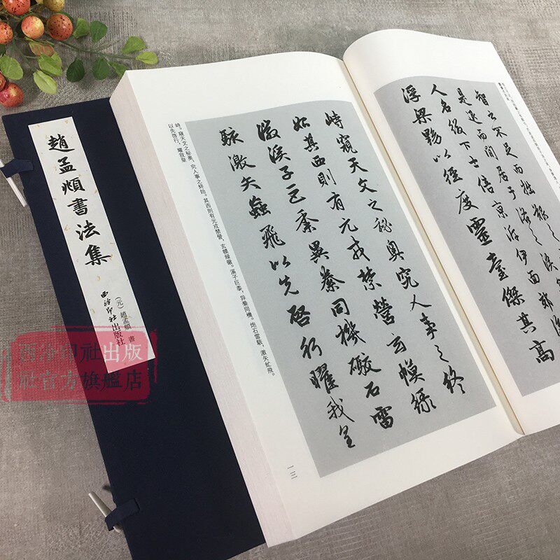 赵孟頫书法集 宣纸线装影印线装繁体竖排 赵孟頫毛笔书法字帖成人初学者软笔书法入门教程原碑帖临摹范本鉴赏书籍 西泠印社出版社