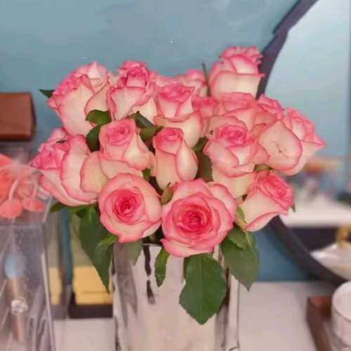 戴安娜玫瑰水养鲜切花云南昆明基地直发同城速递包邮鲜花束情人节 - 图2