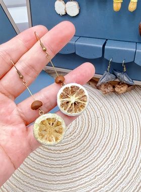 天然植物果实干花耳环复古简约百搭气质耳坠高级感时尚耳饰