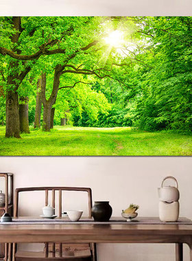 森林树林阳光小路背景墙画绿色护眼风景壁画客厅玄关书房自粘贴画