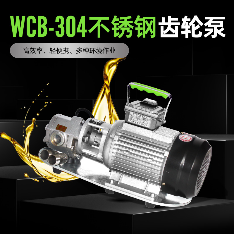 wcb齿轮泵不锈钢齿轮泵大流量耐高温齿轮泵高粘度小型齿轮泵总成 - 图2