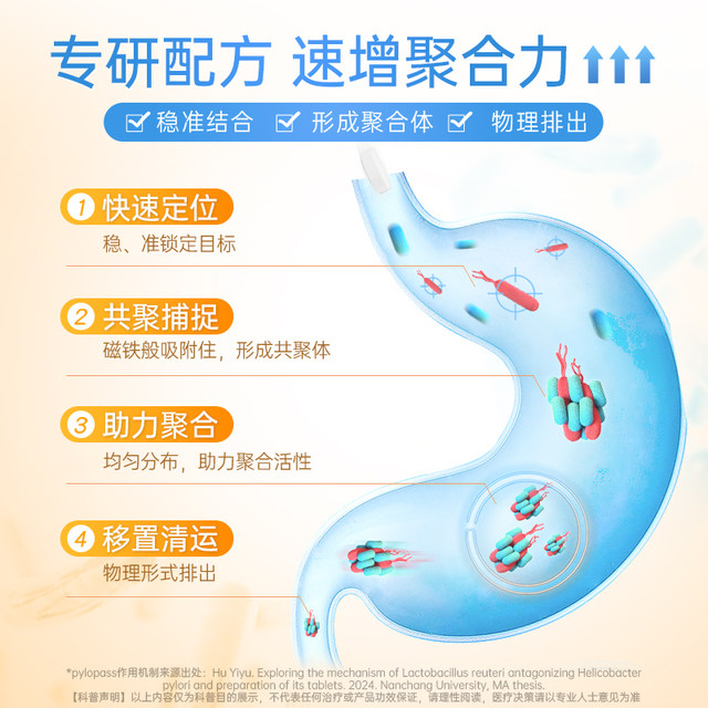 ເມັດ Shubert Qingwei ຄວບຄຸມ probiotics ໃນລໍາໄສ້