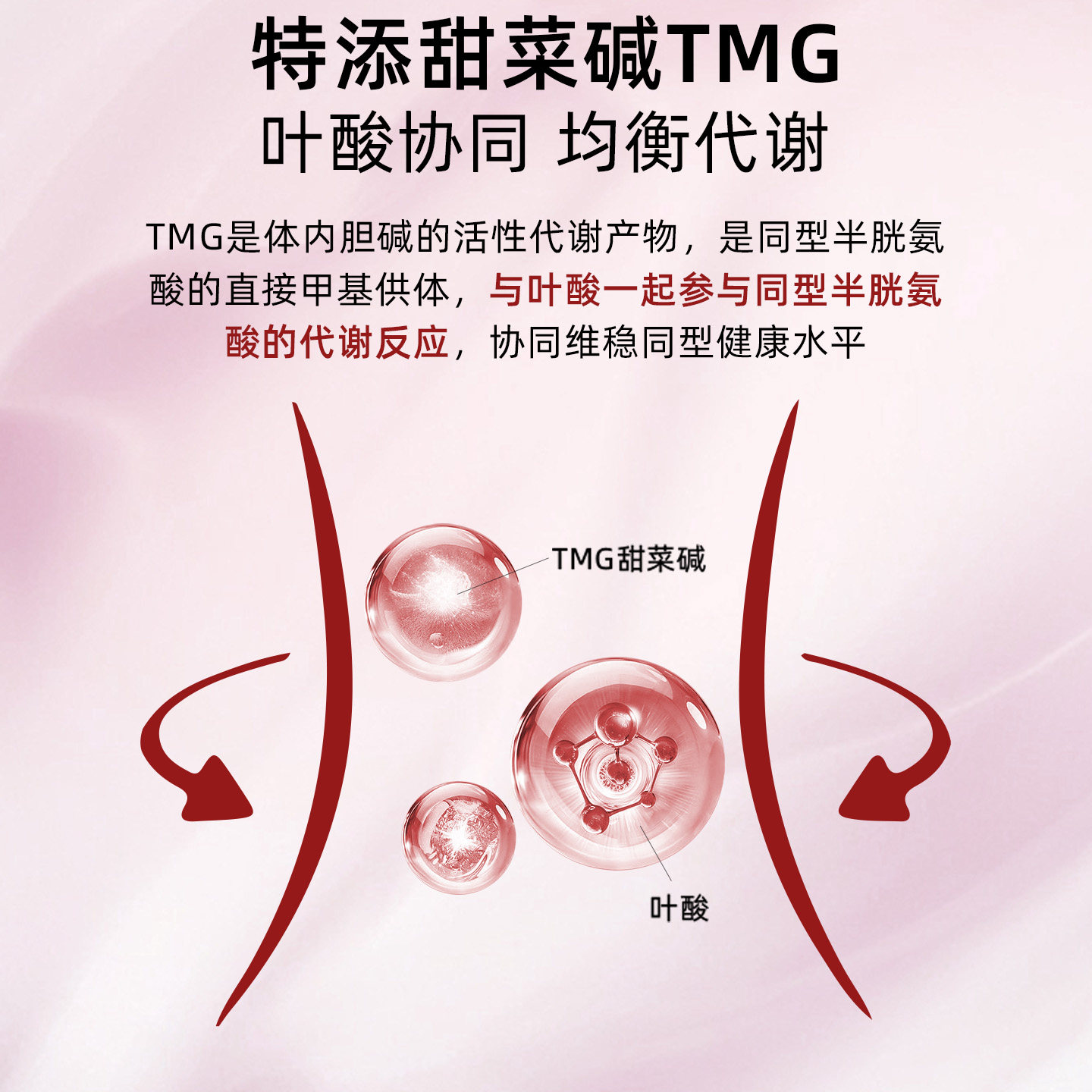 Swanson斯旺森活性叶酸中老年降同型半胱氨酸甜菜碱b6b12甲钴胺