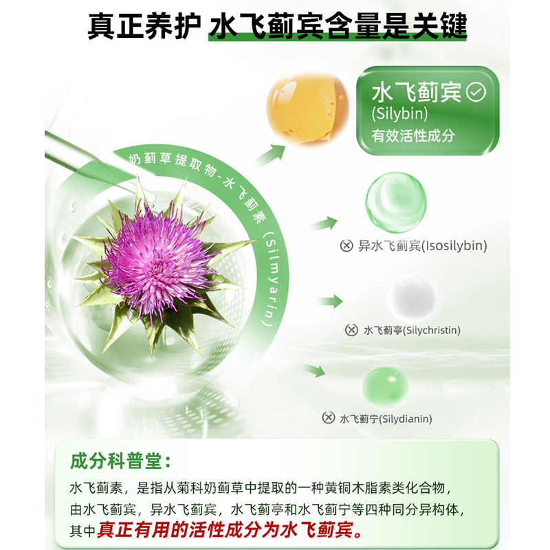 和丽康水飞蓟宾熬夜水飞蓟护肝片 阿里健康大药房海外店蓟类